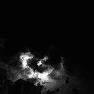 688欧美人禽杂交狂配
